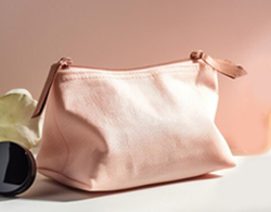 Cosmetic Bag And Organizers