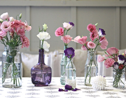 Decorative Flowers