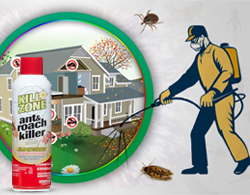 Pest Control