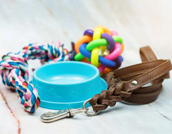 New Pet Supplies