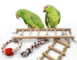 Bird Supplies